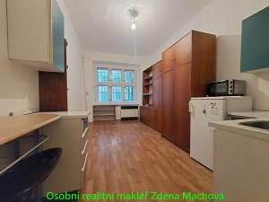 Pronájem bytu 1+kk, Praha - Žižkov, Žerotínova, 19 m2