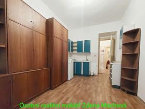 Pronájem bytu 1+kk, Praha - Žižkov, Žerotínova, 19 m2