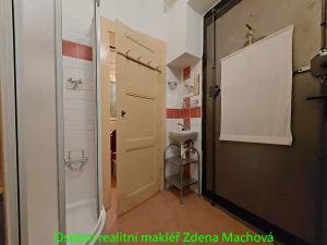 Pronájem bytu 1+kk, Praha - Žižkov, Žerotínova, 19 m2