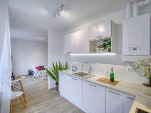 Pronájem bytu 3+1, Litvínov - Horní Litvínov, Vinohradská, 60 m2