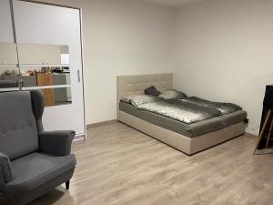 Pronájem bytu 1+kk, Brno, Křenová, 30 m2