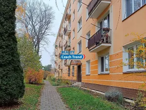 Pronájem bytu 1+1, Olomouc, Dělnická, 37 m2