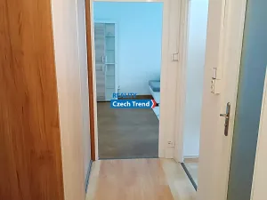 Pronájem bytu 1+1, Olomouc, Dělnická, 37 m2