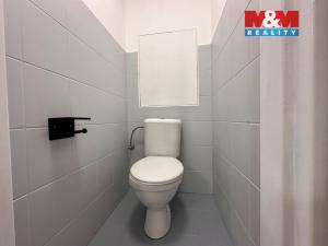 Pronájem bytu 2+1, Praha - Žižkov, Habrová, 46 m2