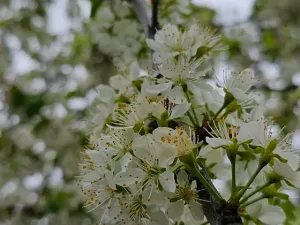 Prodej rodinného domu, Hředle, 398 m2