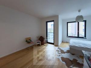 Pronájem bytu 1+kk, Praha - Holešovice, Jankovcova, 42 m2