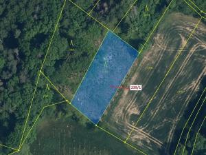 Dražba lesa, Jenišovice, 1872 m2