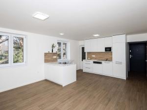 Pronájem bytu 2+kk, Opava - Předměstí, U Hliníku, 46 m2