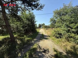 Prodej pozemku pro bydlení, Druztová, 9533 m2