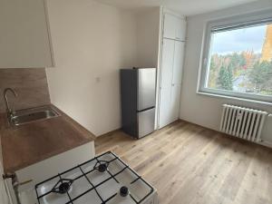 Pronájem bytu 1+1, Příbram - Příbram VIII, Čechovská, 46 m2