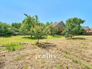 Prodej zemědělské usedlosti, Borotice, 226 m2