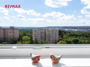 Pronájem bytu 1+1, Praha - Troja, Krynická, 29 m2