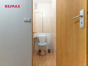 Prodej bytu 3+1, Mladá Boleslav, U stadionu, 88 m2