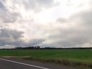 Prodej podílu pole, Bělá pod Bezdězem, 4095 m2