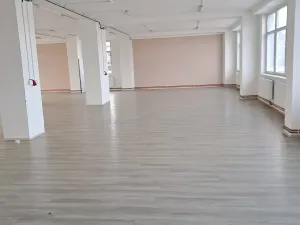 Pronájem výrobních prostor, Skuteč, Husova, 360 m2