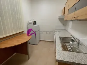 Pronájem bytu 1+1, Olomouc, Stupkova, 35 m2