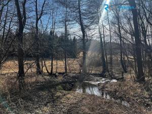 Prodej pozemku pro bydlení, Budišov nad Budišovkou, 556 m2