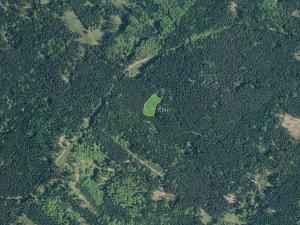 Prodej podílu louky, Halže, 113420 m2