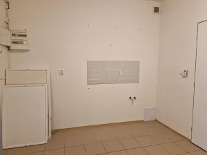 Pronájem obchodního prostoru, Hodonín, Cihlářská čtvrť, 61 m2