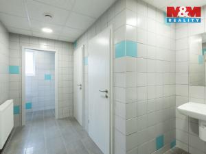 Pronájem kanceláře, Louny, Březinova, 210 m2