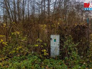 Prodej louky, Česká Lípa, 5589 m2