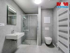 Pronájem bytu 1+kk, Plzeň, 45 m2