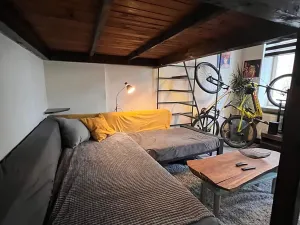 Prodej bytu 1+1, Karlovy Vary, Foersterova, 32 m2