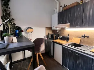 Prodej bytu 1+1, Karlovy Vary, Foersterova, 32 m2