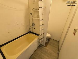 Pronájem bytu 1+1, Děčín, Želenická, 38 m2