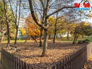 Prodej bytu 3+1, Praha - Karlín, Molákova, 64 m2