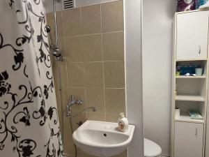 Pronájem bytu 1+1, Brno, Fleischnerova, 45 m2