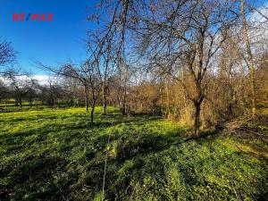 Prodej pozemku pro bydlení, Podolí, 1608 m2