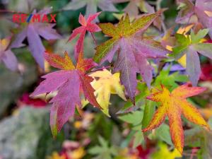 Prodej rodinného domu, Šimonovice, Vinohradní, 208 m2