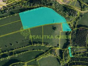 Prodej louky, Jasenná, 29430 m2