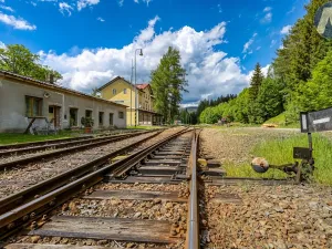 Prodej zahrady, Lenora, 305 m2