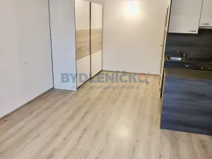 Pronájem bytu 1+kk, České Budějovice, 35 m2