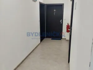 Pronájem bytu 1+kk, České Budějovice, 35 m2