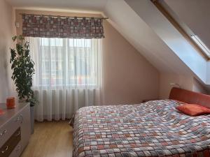 Prodej rodinného domu, Letkov, Olšová, 304 m2