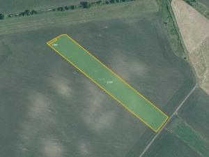 Prodej pole, Nesvačilka, 19558 m2