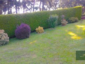 Prodej chaty, Kdyně, 22 m2