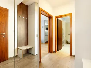 Pronájem bytu 1+kk, Brno, Kopečná, 37 m2