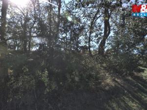 Prodej pozemku, Červená Lhota, 4173 m2