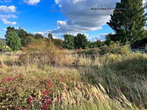 Prodej pozemku pro bydlení, Hvozdnice, 7559 m2