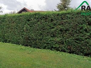 Prodej chaty, Javorník, 80 m2