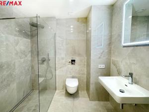 Pronájem bytu 2+kk, Praha - Vinohrady, Záhřebská, 49 m2