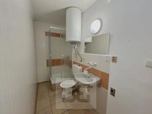 Pronájem bytu 1+kk, České Budějovice, Prašná, 24 m2