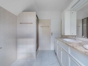 Prodej rodinného domu, Družec, V Zátiší, 289 m2