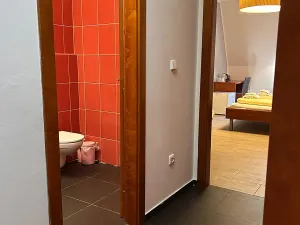 Pronájem pokoje, Kolín, Na Hradbách, 28 m2