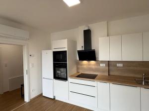 Pronájem bytu 1+kk, Přerov, Čechova, 39 m2