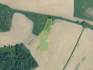 Prodej pole, Velký Bor, 11261 m2